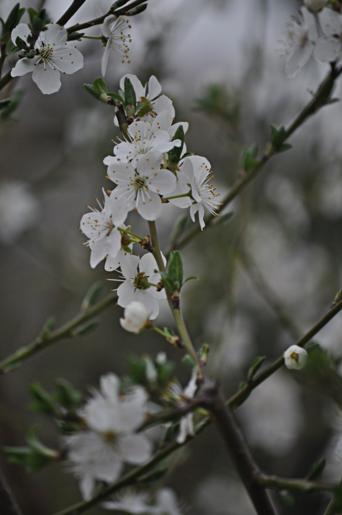 Лиза Ефимовая | Санкт-Петербург