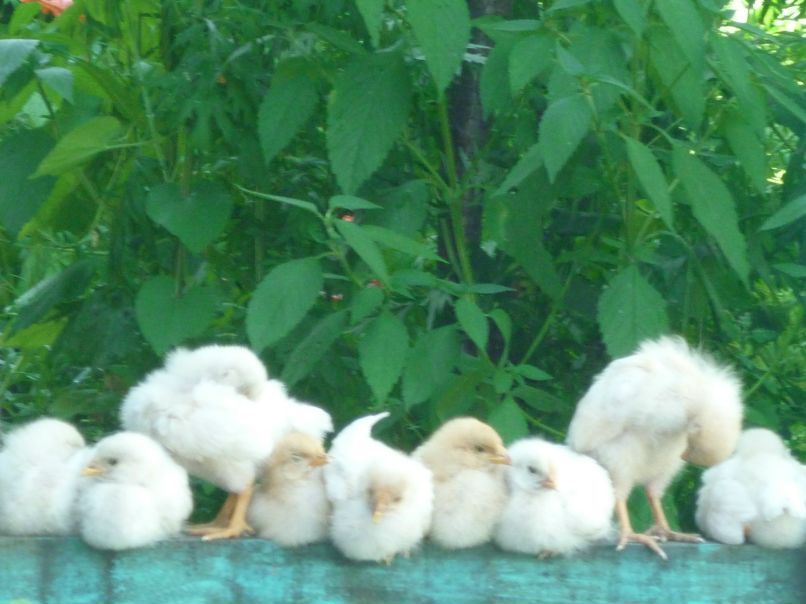 Виктория Вафина | Нефтеюганск