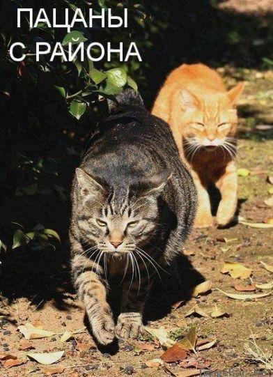 №10, Жека Капустин, Белгород №10, Жека Капустин, Белгород