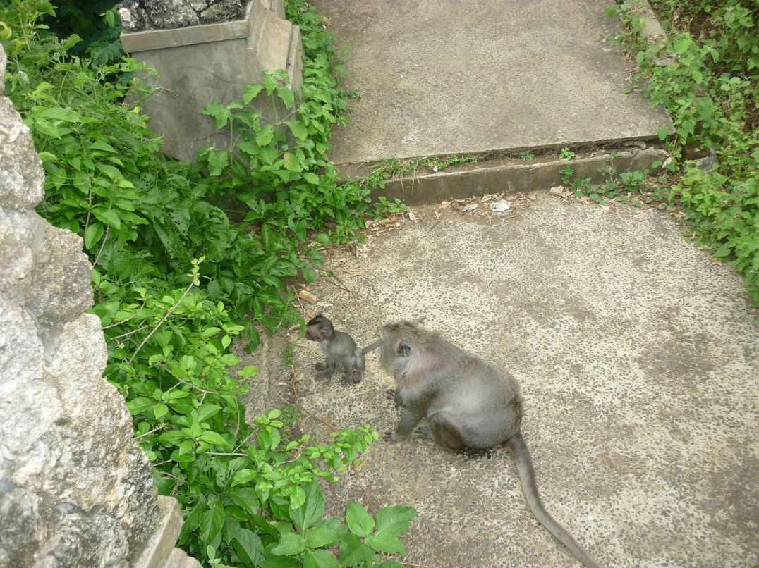 Лариса Шестакова | Елизово