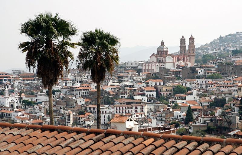 Елена Кочеткова | Москва