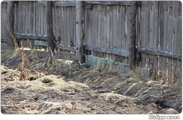 Оля Гуляк | Львов