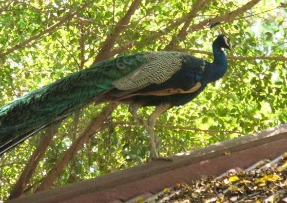 Виктория Богач | Красноярск