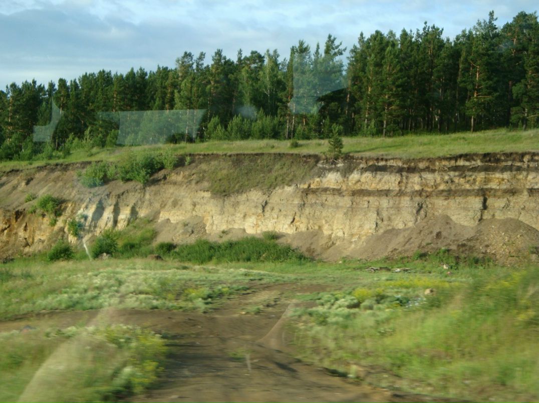 Дмитрий Никулин | Бетьки