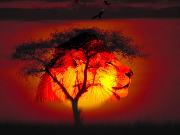 Мария Смоляр | Киев