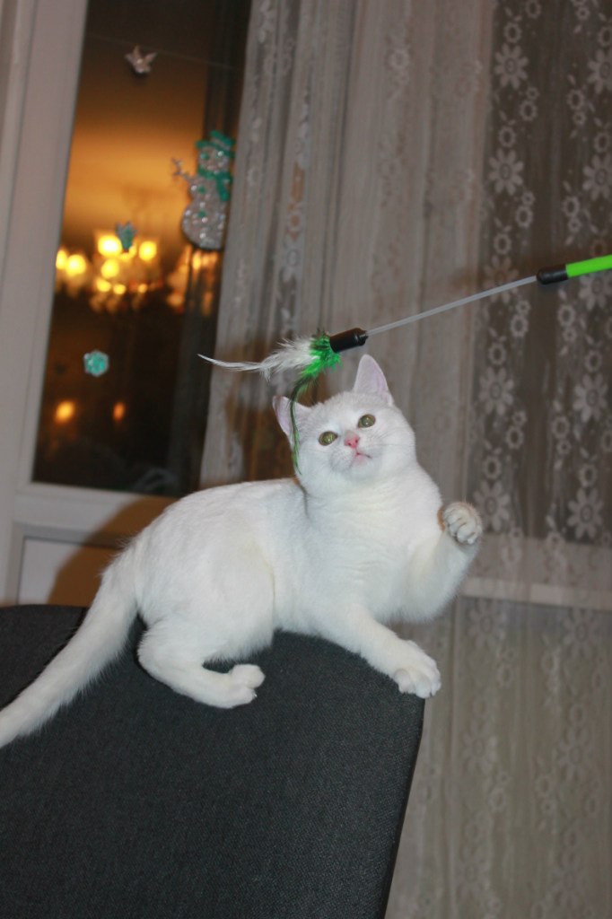 Александра Касумова Alechka | Москва