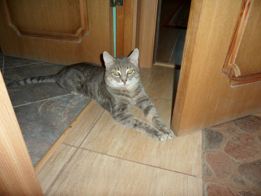 Виктория Лобанова @Крючок@ | Казань