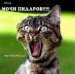 Руслан Скрипковський фотография #5