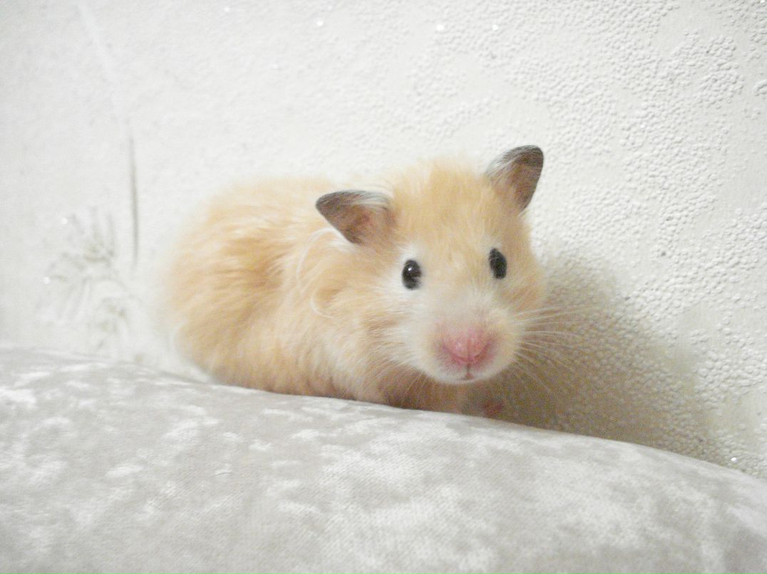 Марина Нечипорук | Хабаровск