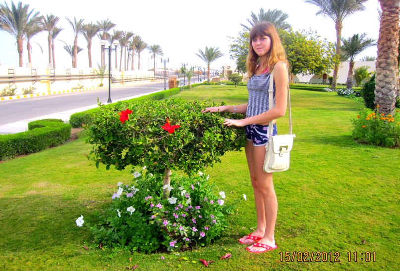 Юлия Волкова | Шарковщина