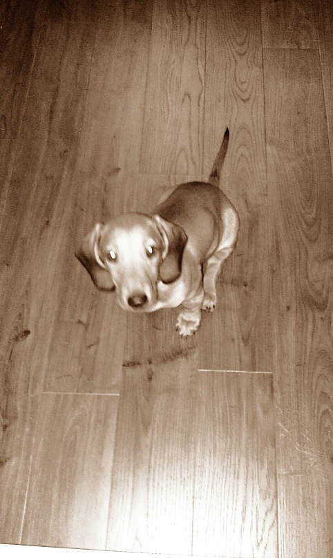 Диана Фастова | Екатеринбург