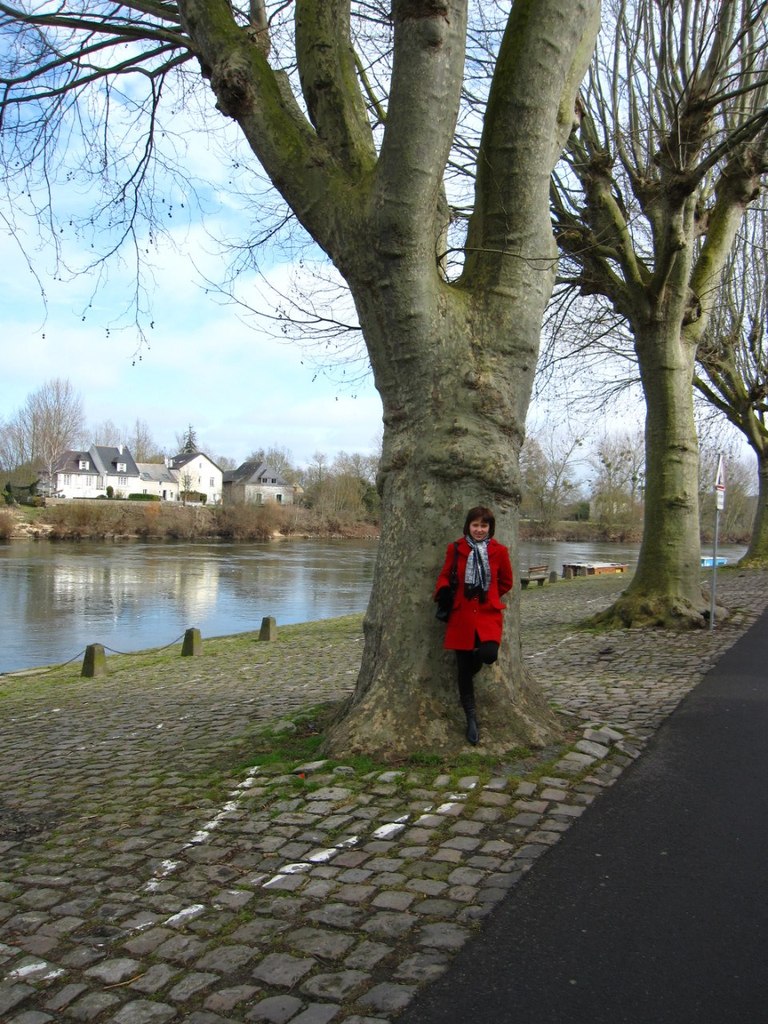 Татьяна Ермакова | 