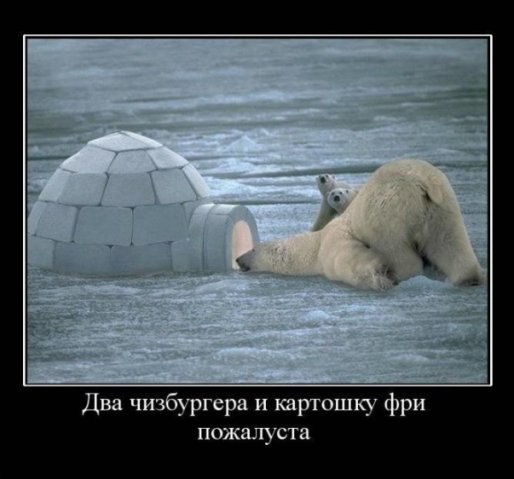 №36, Дмитрий Панасюк, 26 лет, Тольятти №36, Дмитрий Панасюк, 26 лет, Тольятти