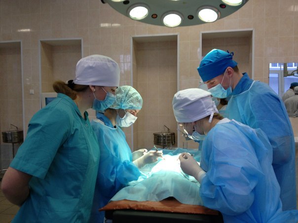 Ксения Сельцова | Санкт-Петербург