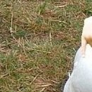 №7, Анжела Жужа, Евпатория №7, Анжела Жужа, Евпатория