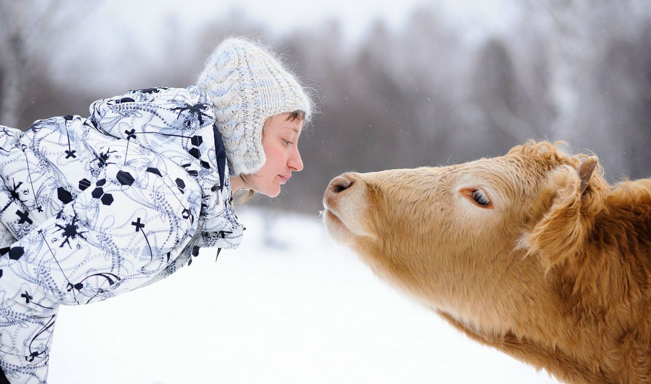 Татьяна Каменская | Красноярск