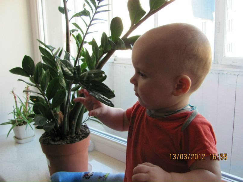 Алла Иванчук | Луцк