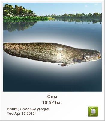 Данил Улягин | Великий Новгород