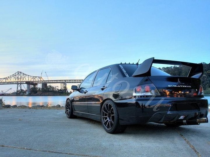 Дмитрий Заморев | 