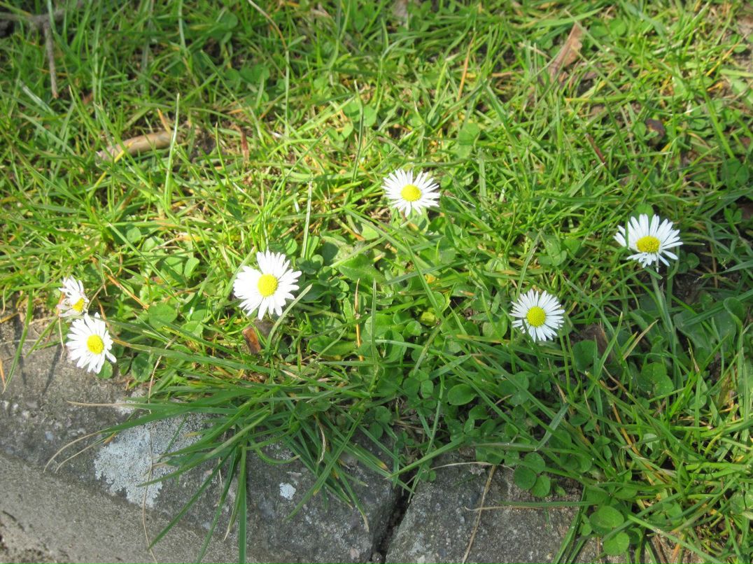 Данил Жигалин | Москва