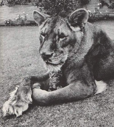 Ольга Заворотная | Черновцы