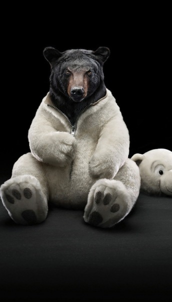 №132, Серёга Ануфриев, 35 лет, Санкт-Петербург, Россия №132, Серёга Ануфриев, 35 лет, Санкт-Петербург, Россия