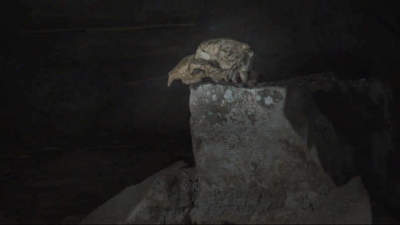 Oleg Kuzmin | Москва