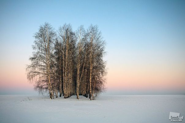№66, Алёна Пушкина, 34 года №66, Алёна Пушкина, 34 года