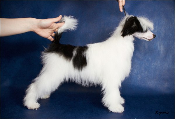 Сашка Солнцева | Москва