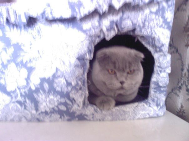 №23, Юлия Фролова, Воронеж №23, Юлия Фролова, Воронеж