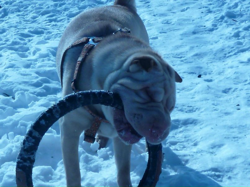 Евгений Титов | Кривой Рог