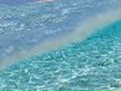 Ірина Лях | Львов