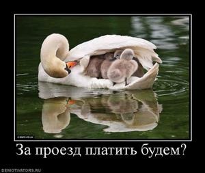 №38, Назар Лещишин, 35 лет, Моршин №38, Назар Лещишин, 35 лет, Моршин