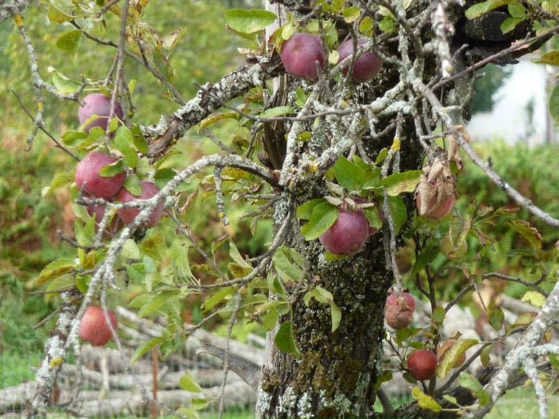 Константин Билибин | Новороссийск