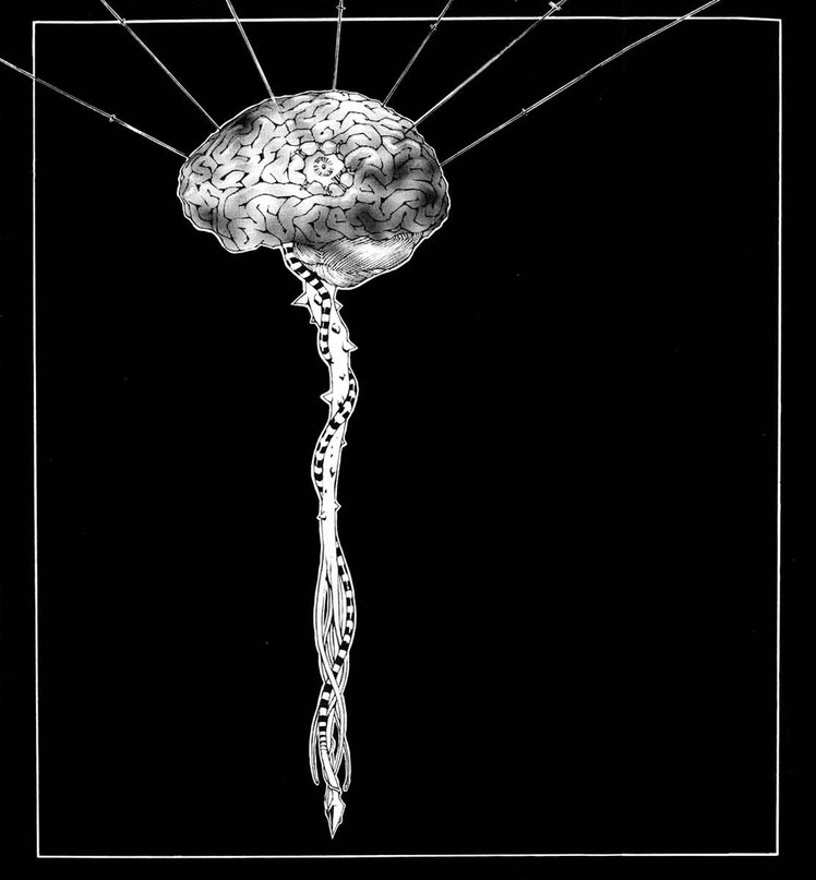 Анастасия Мусиец | Винница