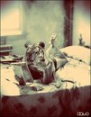 №10 Анна Софьина 23.09.1991: профиль, фото, статус - ВКонтакте