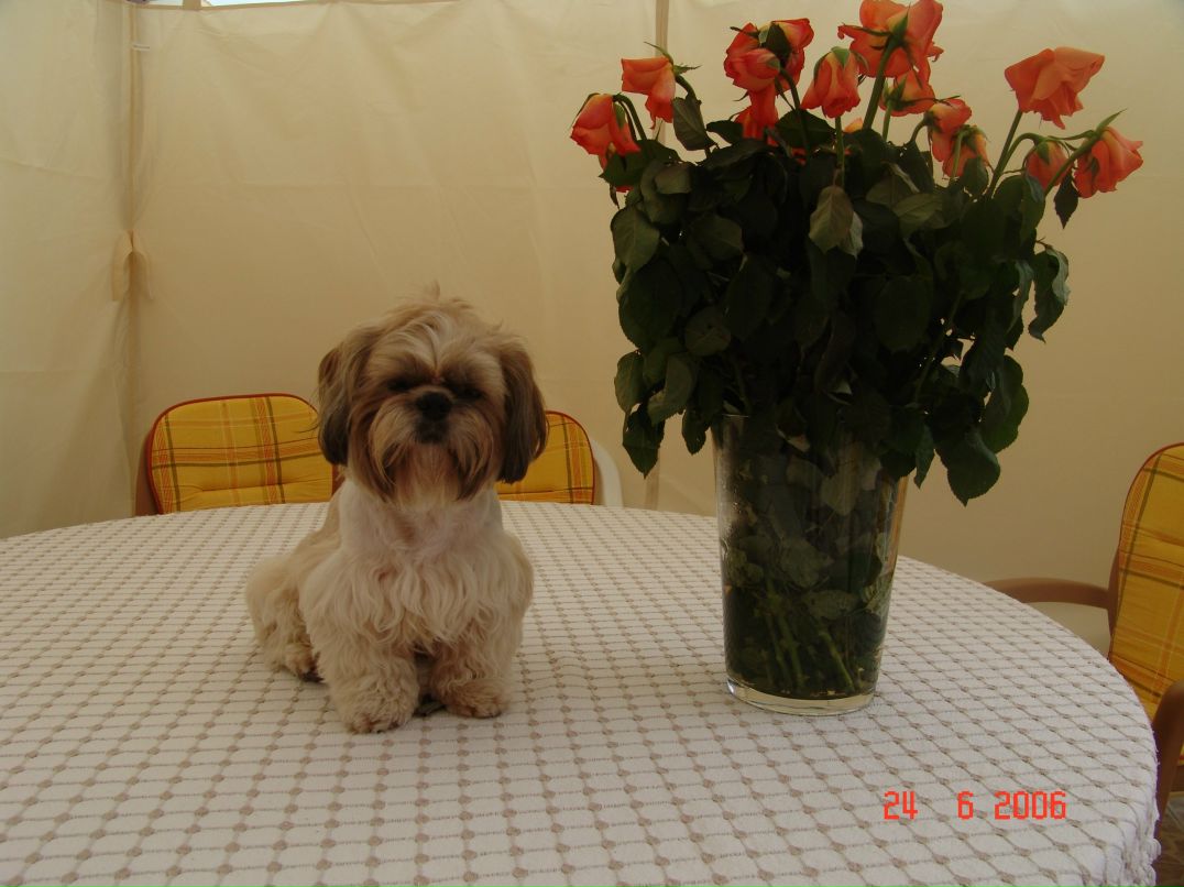 George Lee-Opo *Dos Santos* | Минск