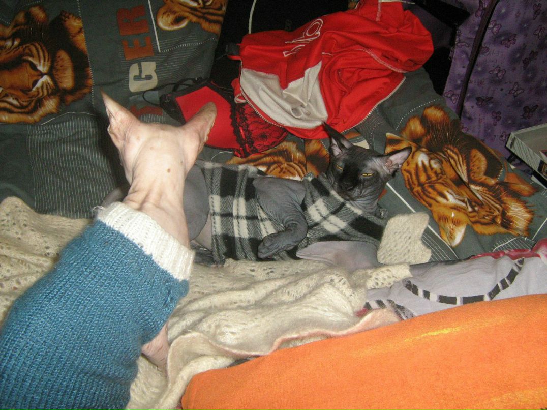 Кристина Сенчугова ♥^√V''^√\√V''^√\♥ | Владимир