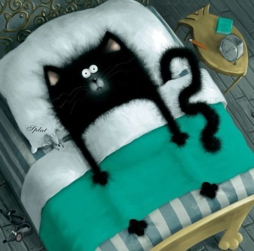 Оксана Настенко | Ужгород