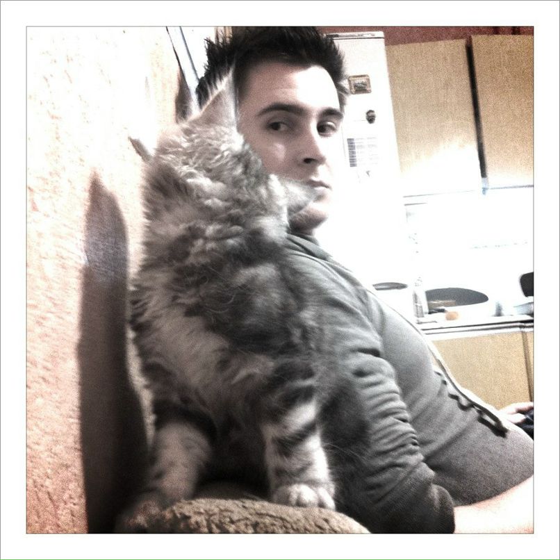 Вячеслав Быстрицкий | Киев