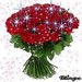 Mohd Aref фотография #13