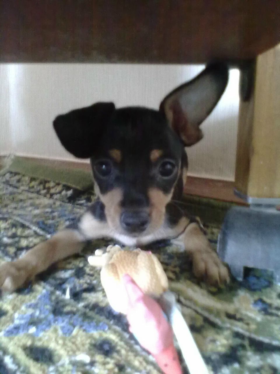 Дарья Капралова Tavi | Магадан