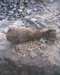 Микола Козубович фотография #33 (источник - https://vk.com/id76902141)