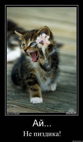 Таня Томашева | Белозерск