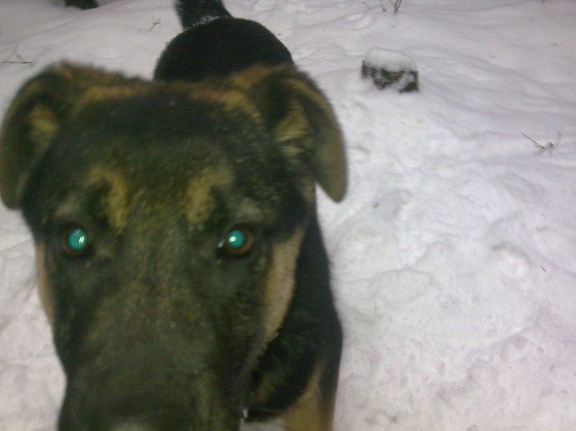 Паша Никулочкин Face-control | Калуга