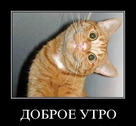 Владимир Алексеев | Москва