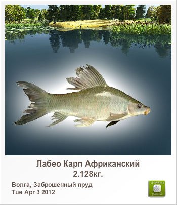 Степан Прохоров | Минск