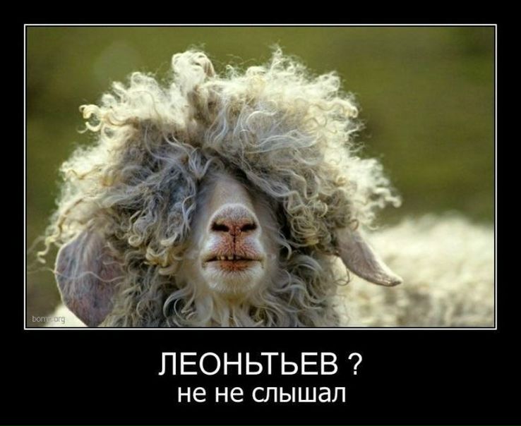 №42, Наталья Кравченко, Москва №42, Наталья Кравченко, Москва