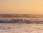 Юлия Скворцова | Херсон