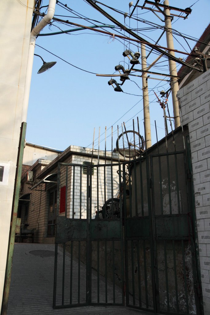 Елена Рогова | Москва